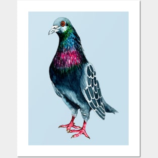 Seymour the Pigeon Posters and Art